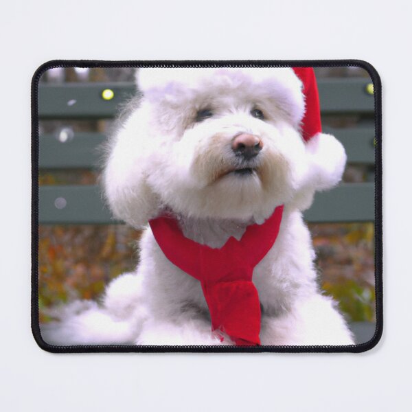 Item preview, Sitting Bichon Frise Christmas designed and sold by fatbanana.