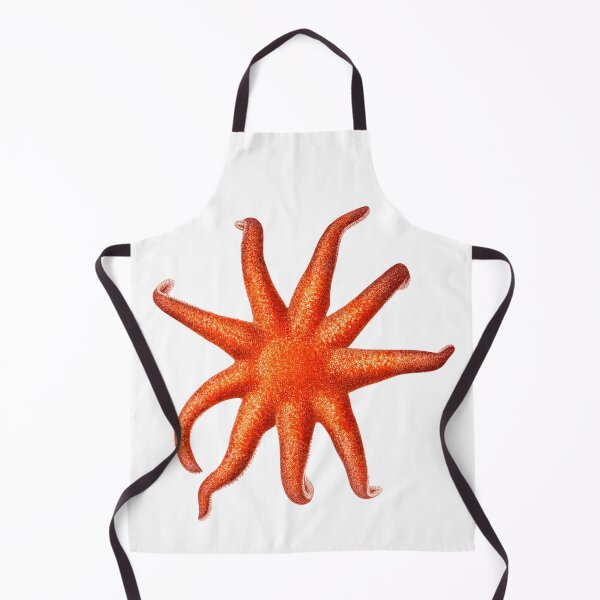 Item preview, Northern Sunstar Starfish designed and sold by Ephemerae.
