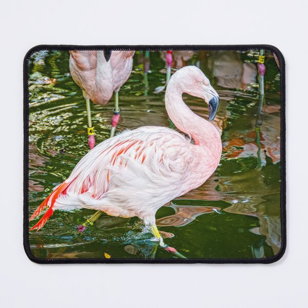 Item preview, The Flamingo Stroll designed and sold by Debra Martz.