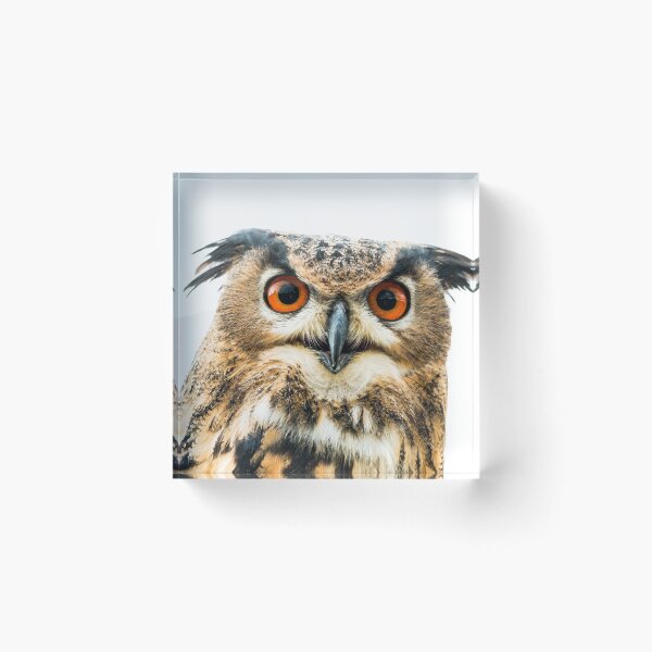 Item preview, Angry Owl - "WTF Do YOU Want? designed and sold by SayAhh.