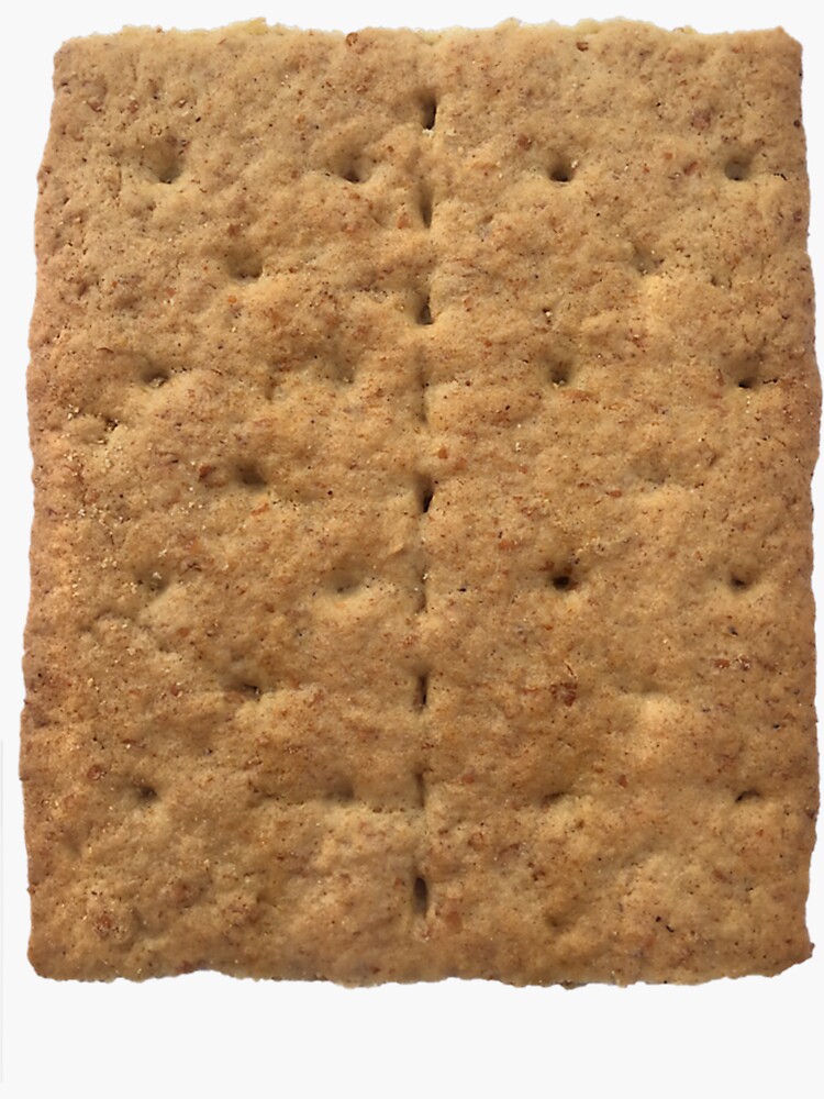 "Graham Cracker Camping and Smores Group Halloween Costume Premium