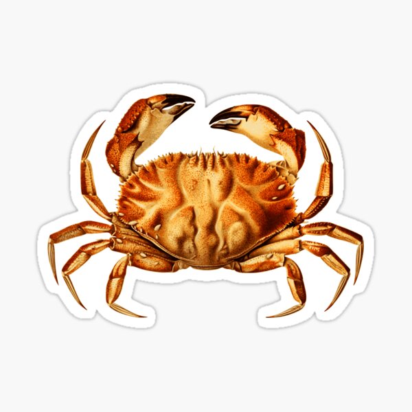 Dungeness Crab Stickers for Sale, Free US Shipping