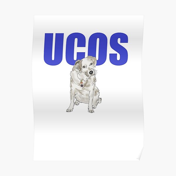 UCOS old dog new tricks Poster