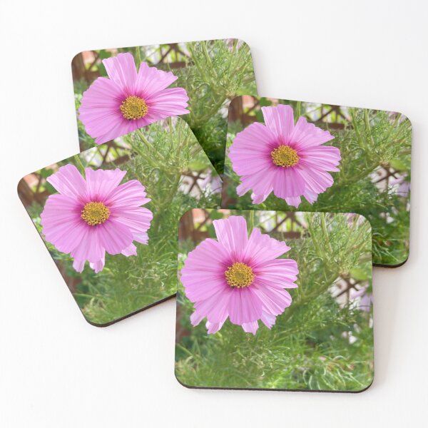 Item preview, Pink Cosmos Flower Photography designed and sold by ZophiaSolaris.