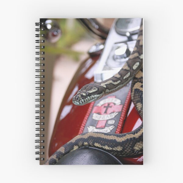 Item preview, Ruby the Carpet Python designed and sold by mokacat.