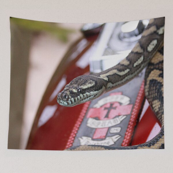 Item preview, Ruby the Carpet Python designed and sold by mokacat.