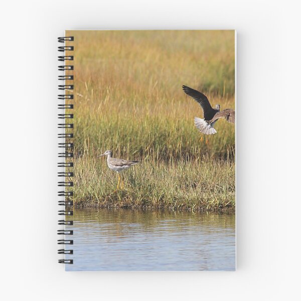 Item preview, Sandpipers designed and sold by Linda Crockett.