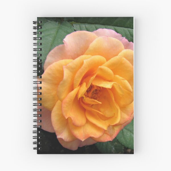Item preview, Soft and Gentle Apricot and Pink Rose designed and sold by BlueMoonRose.