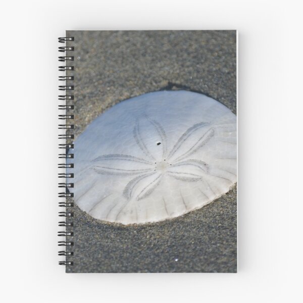 Item preview, Lucky Sand Dollar designed and sold by HanieBCreations.