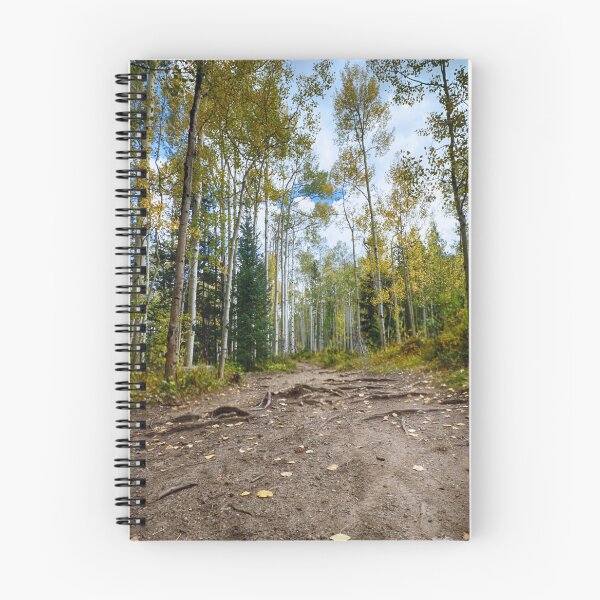 Item preview, Rainbow Lake Trail #1 - Frisco, Colorado, USA designed and sold by Edith Reynolds.