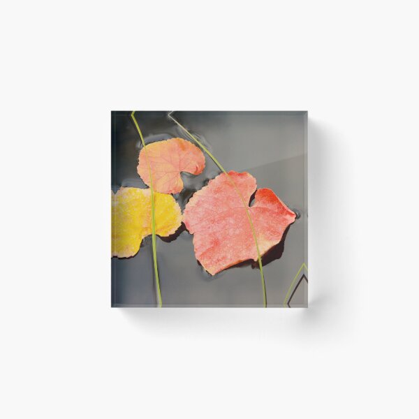 Item preview, Floating Leaves designed and sold by jjohnsueb.