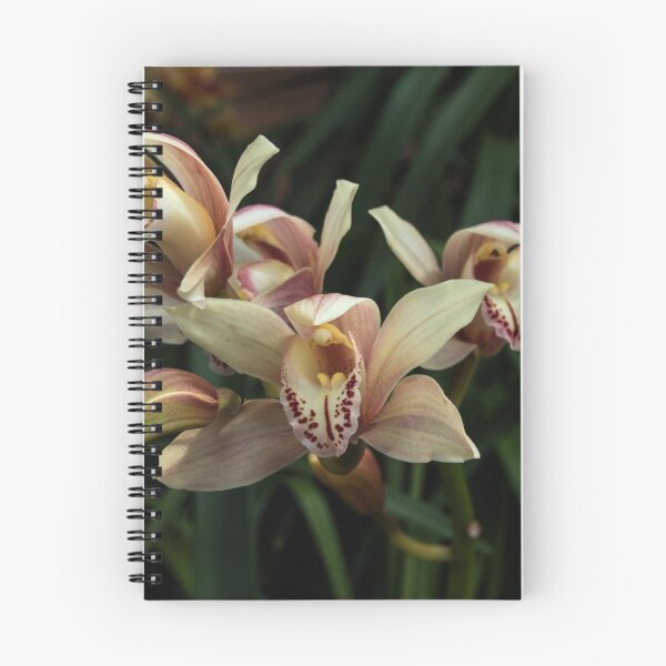 Item preview, Orchids Leith Park Victoria 20151030 0519 designed and sold by Fred Mitchell.
