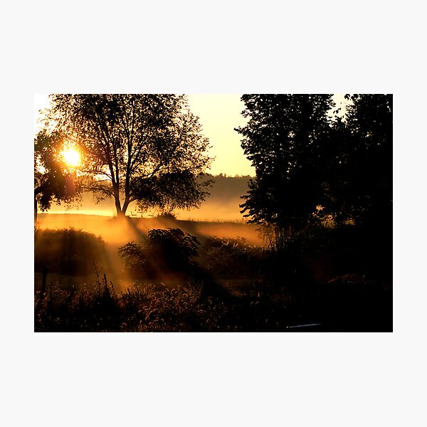 Early Morn Coffee Zone Photographic Print