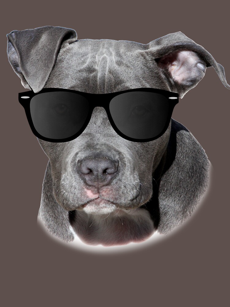 Cool Pitbull With Sunglasses American Pit Bull Gift T Shirt By   Raf,750x1000,075,t,5e504c 7bf03840f4.u1 