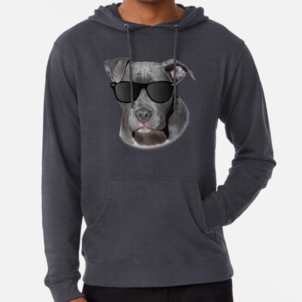 pitbull sweatshirts hoodies redbubble