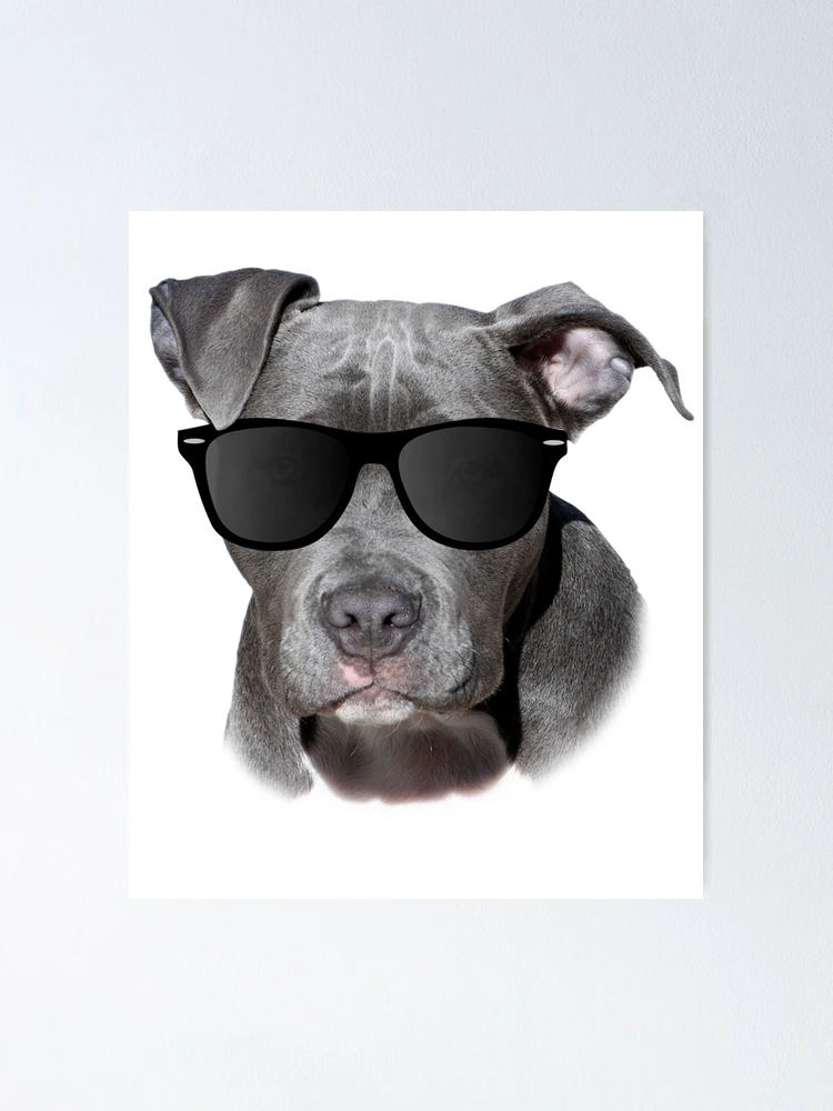 Best Pitbull Rescue Glasses  Best Pitbull Terrior Beer Glasses - I Prefer  Craft Coffee