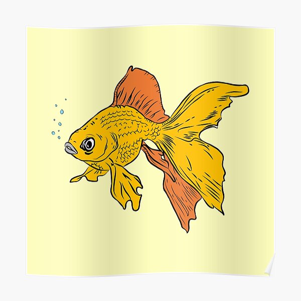 "swimming goldfish" Poster for Sale by Animster Redbubble