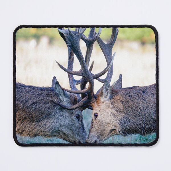 Item preview, Deer designed and sold by photobytableau.