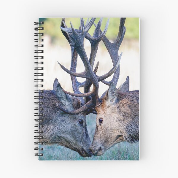 Item preview, Deer designed and sold by photobytableau.