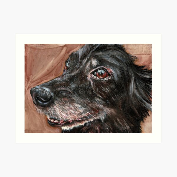 Turbo Art Print