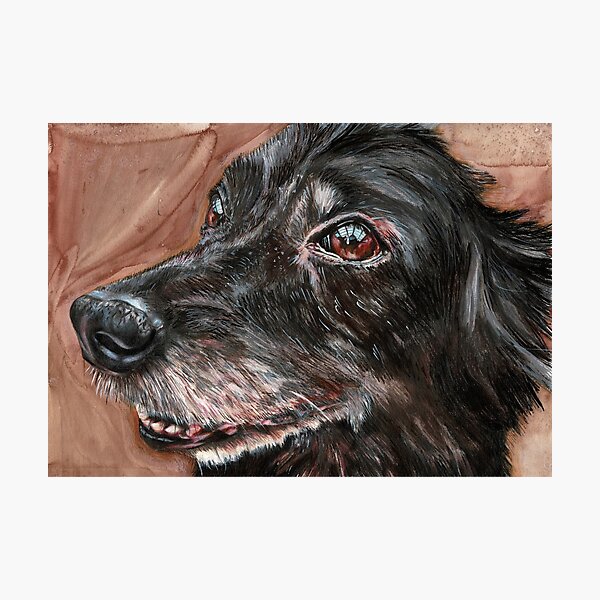 Turbo Photographic Print