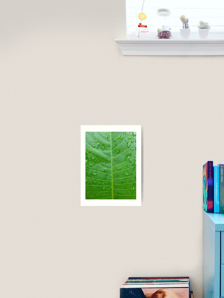  Leaf Veins Wall Decor