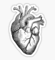 Anatomisches Herz Sticker