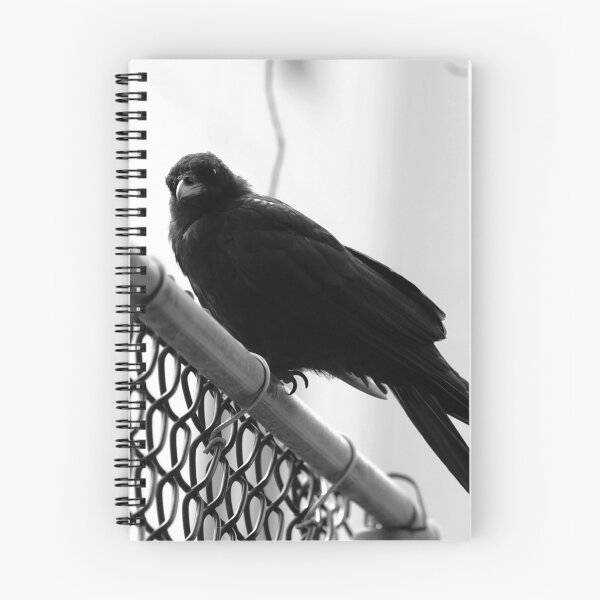 Item preview, Corvidae designed and sold by Moonstone Ghosts.