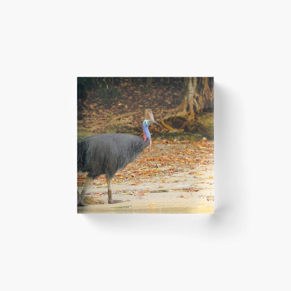 Item preview, Walk In The Wild designed and sold by CBoyle.