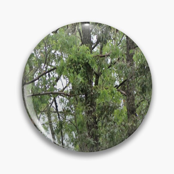 Item preview, trees designed and sold by Jodie Cooper.