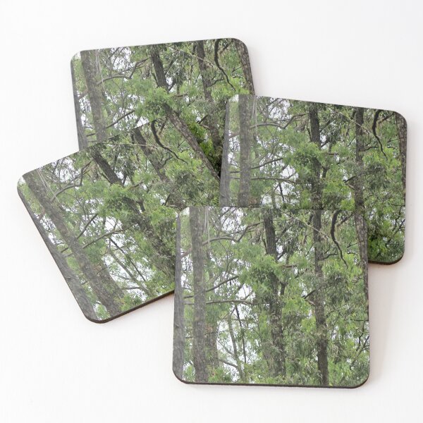 Item preview, trees designed and sold by Jodie Cooper.