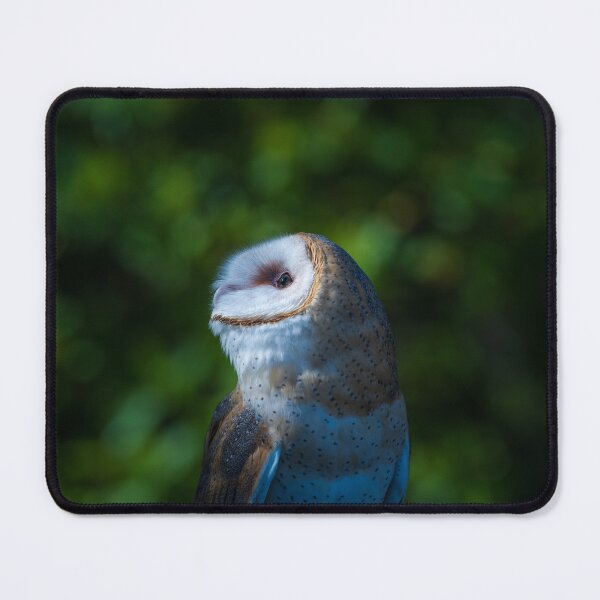 Item preview, Moon gazing designed and sold by Greg Birkett.