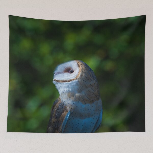 Item preview, Moon gazing designed and sold by Greg Birkett.