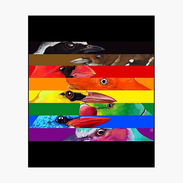 Item preview, LGBTQIA Pride Birds - Black and Brown  designed and sold by shiyuedexterr.