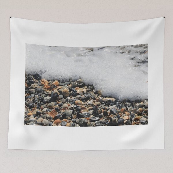 Item preview, Seashells designed and sold by MortonDesigns.