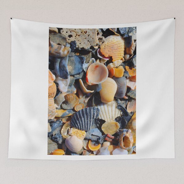 Item preview, Seashells designed and sold by MortonDesigns.