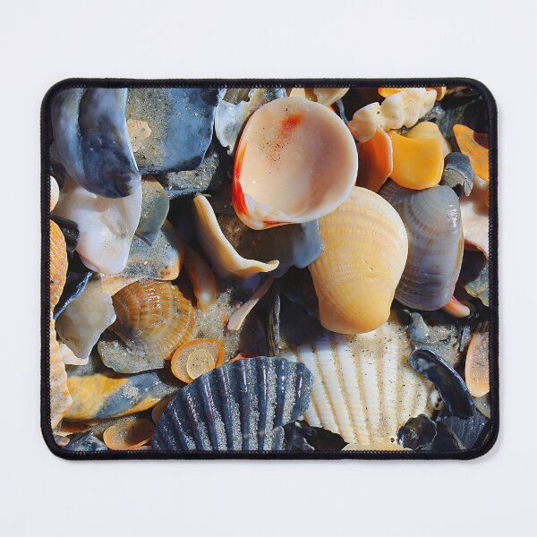 Item preview, Seashells designed and sold by MortonDesigns.