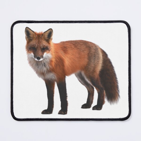 Item preview, wild fox designed and sold by elciudadano.