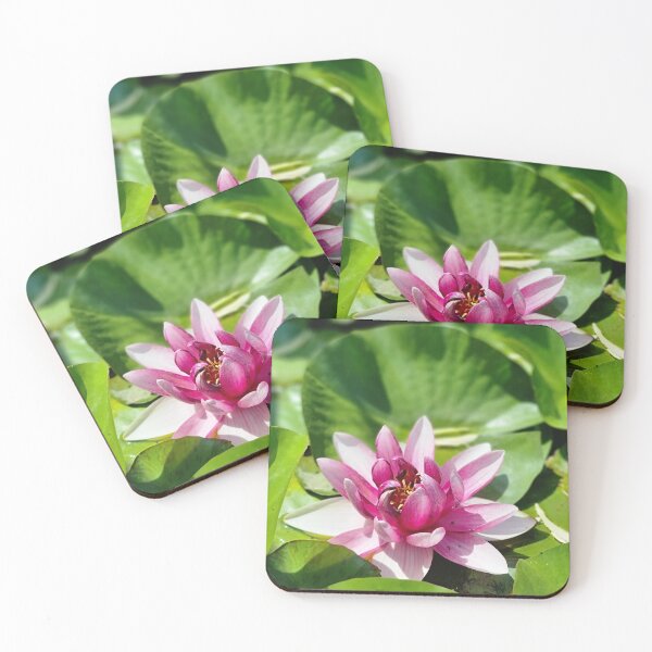 Item preview, Just a beautiful flower designed and sold by MaltaDrey.