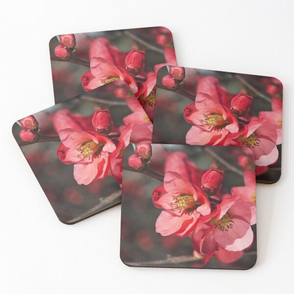 Item preview, Beautiful Flowering Quince Romance designed and sold by Joy Watson - Natural Light Photography .