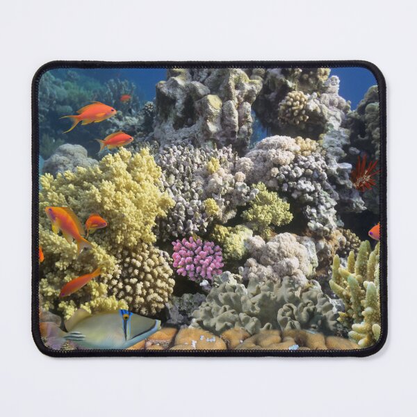 Item preview, Coral Reef | Perfect Gift for Nature Lovers designed and sold by NostalgicLatin.