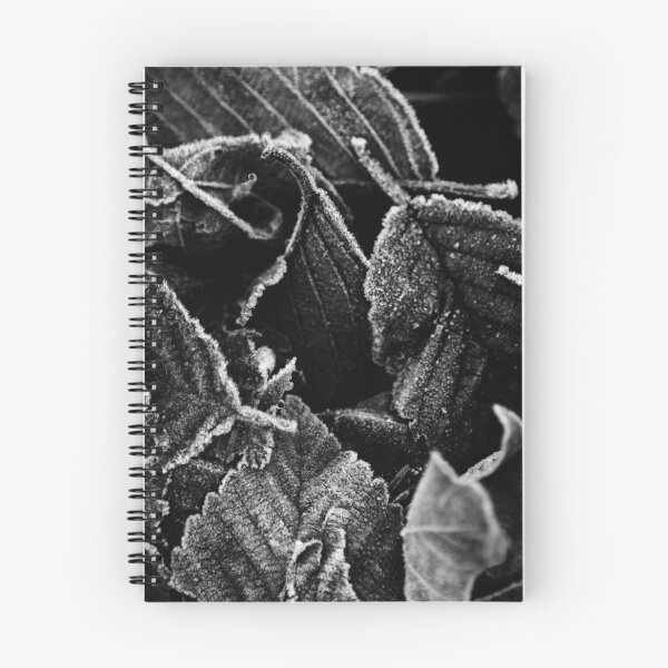 Artikelvorschau, Frost bedeckte Blätter - Agalloch "Mark des Geistes" -Veleda Thorsson Fotografie entworfen und verkauft von VeledaThorsson.