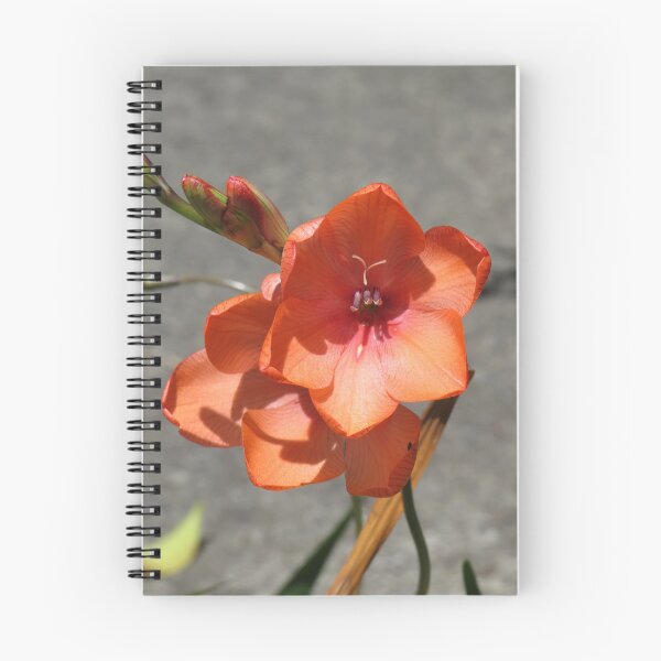 Item preview, Peachy freesias designed and sold by greentiger1.