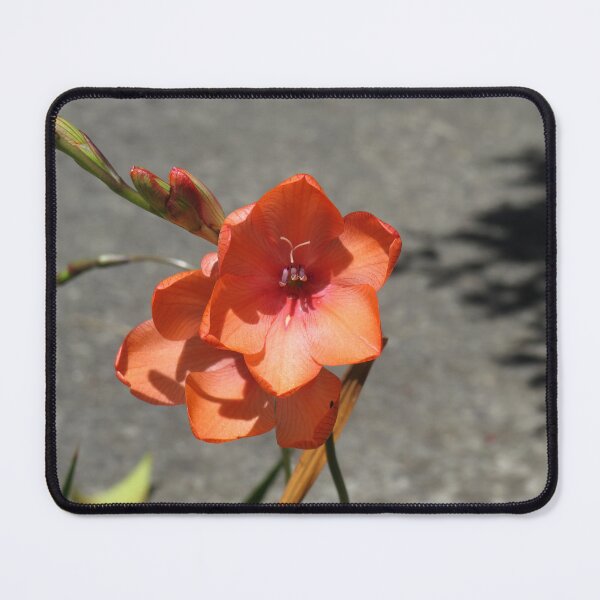 Item preview, Peachy freesias designed and sold by greentiger1.