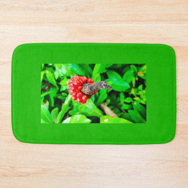 Item preview, Red peppercorn with bird beak designed and sold by kall3bu.