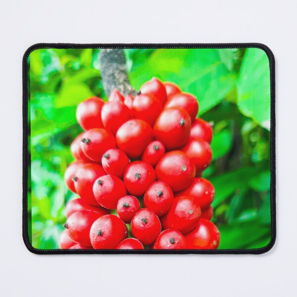 Item preview, Closeup from Arum italicum subsp. canarienses ripe with red berries designed and sold by kall3bu.