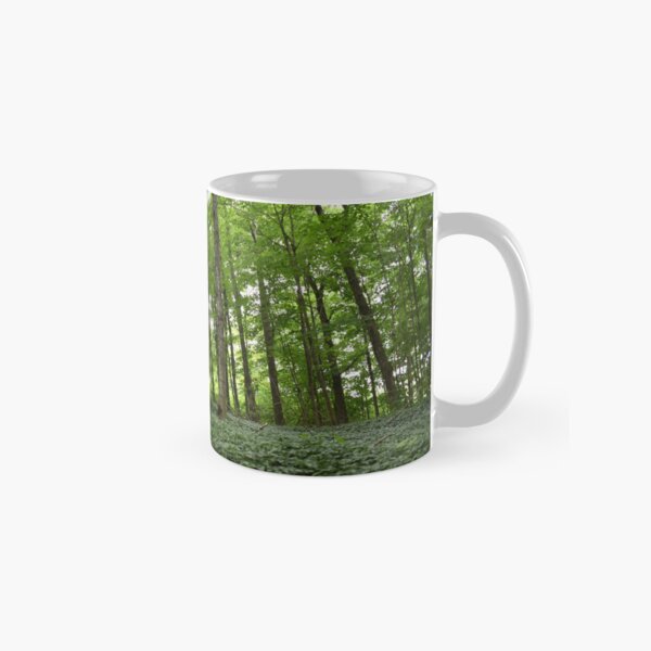 Item preview, A trail runs through a deciduous forest in summer designed and sold by Claude Laprise.