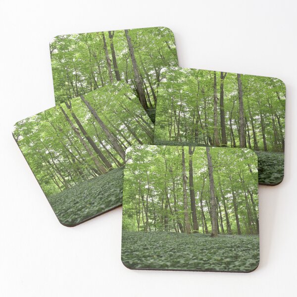 Item preview, A trail runs through a deciduous forest in summer designed and sold by Claude Laprise.