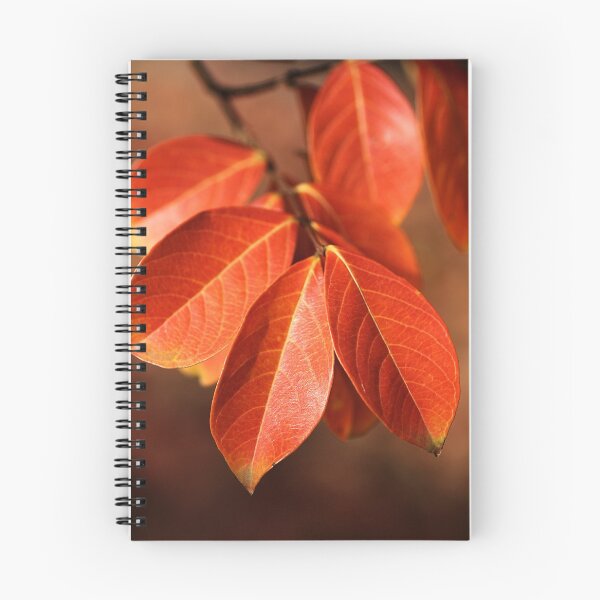 Item preview, Autumn Richness designed and sold by Joy Watson - Natural Light Photography .