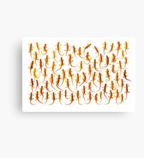 Efts Canvas Print